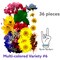 36 Piece Multi-colored Variety #6 Dried Pressed Real Natural Flowers For Epoxy & UV Resin Art
